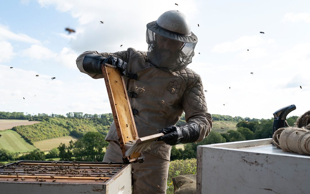 The Beekeeper